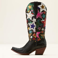 BLACK PYTHON|MIDNIGHT
